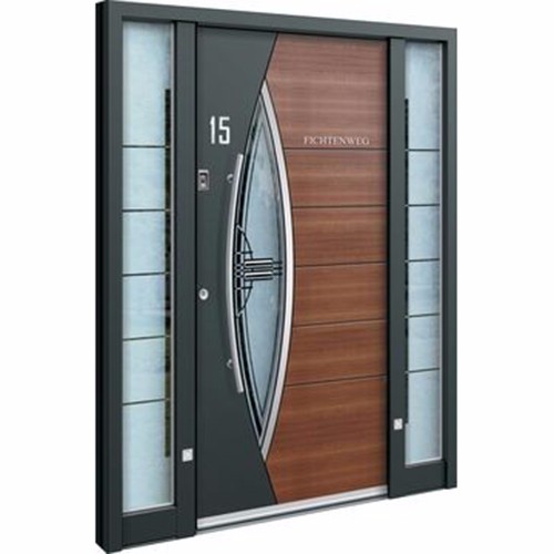 High Quality Security Front Door Nepal s Exterior Gate for Villa