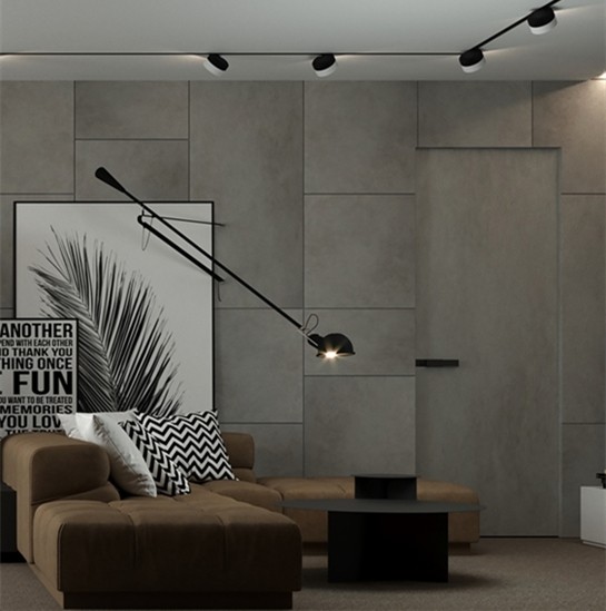 Invisible/Hidden Door