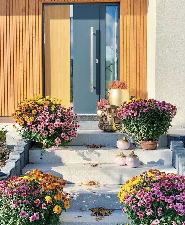 2021 industrial stainless steel main gate aluminum villa Front Door Nepal  Manufacturer Nepals, 2021 industrial stainless steel main gate aluminum villa Front Door Nepal  Factory, Supply 2021 industrial stainless steel main gate aluminum villa Front Door Nepal 
