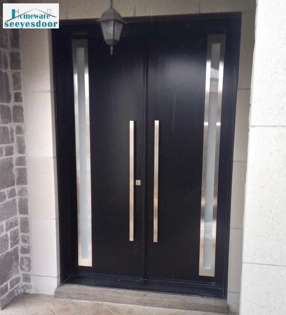 windows entry door